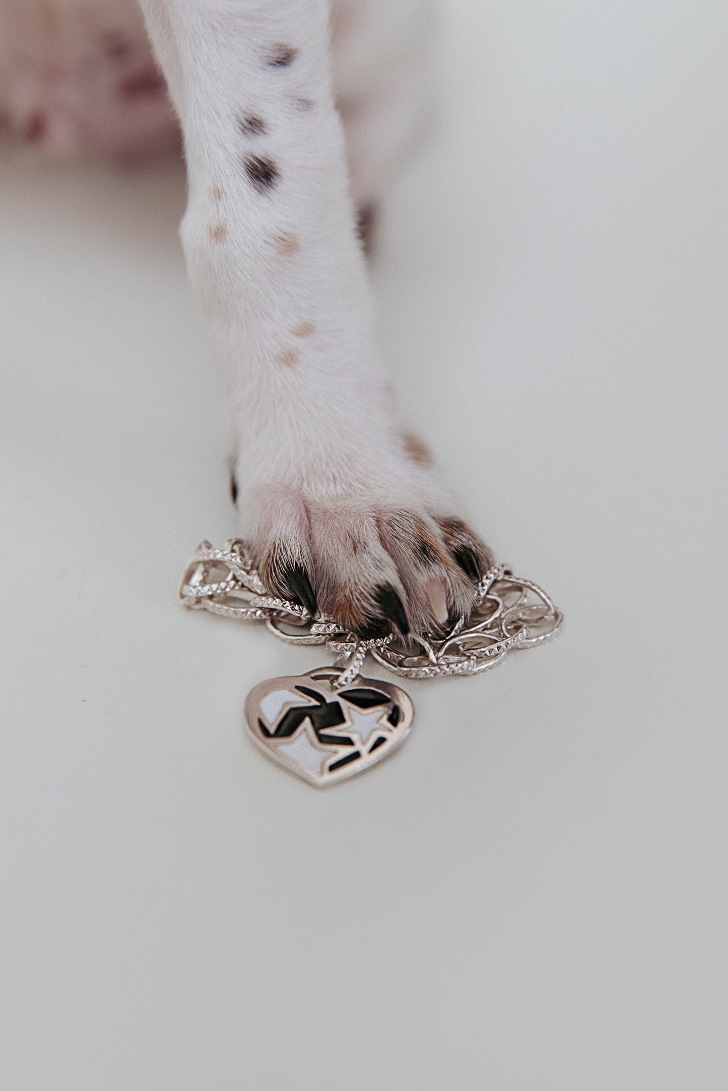 Colgante Panda de plata esmaltado para mascotas