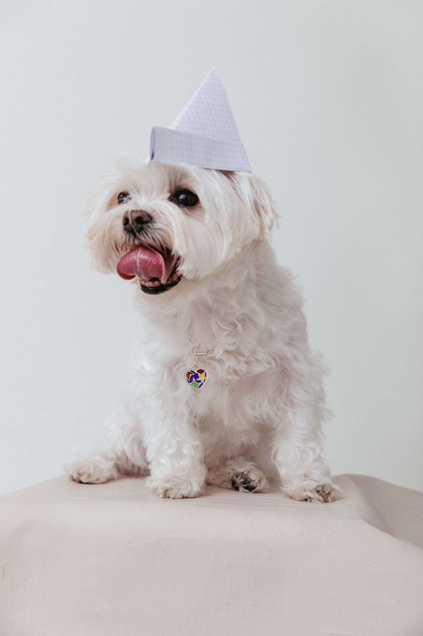 Colgante Happy de plata esmaltado para mascotas