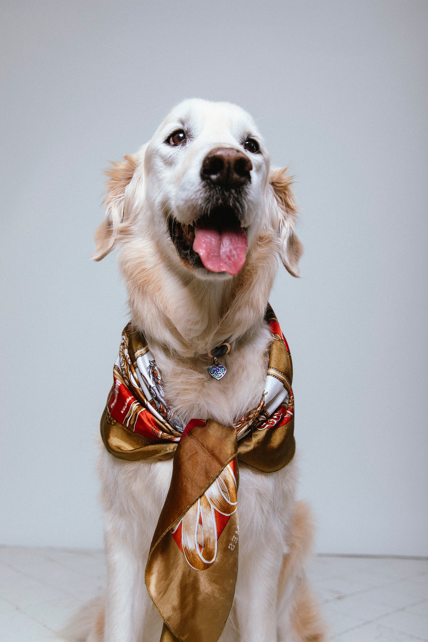 Colgante Uma de plata esmaltado para mascotas