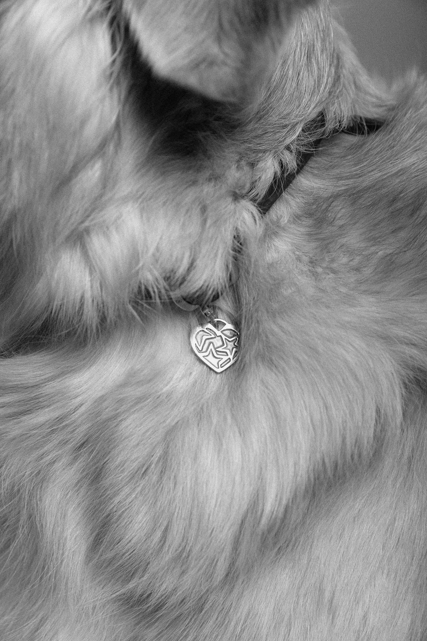 Colgante Uma de plata esmaltado para mascotas