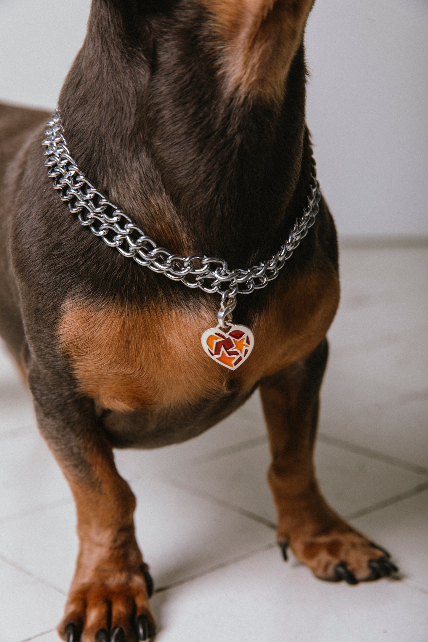 Colgante Duna de plata esmaltado para mascotas