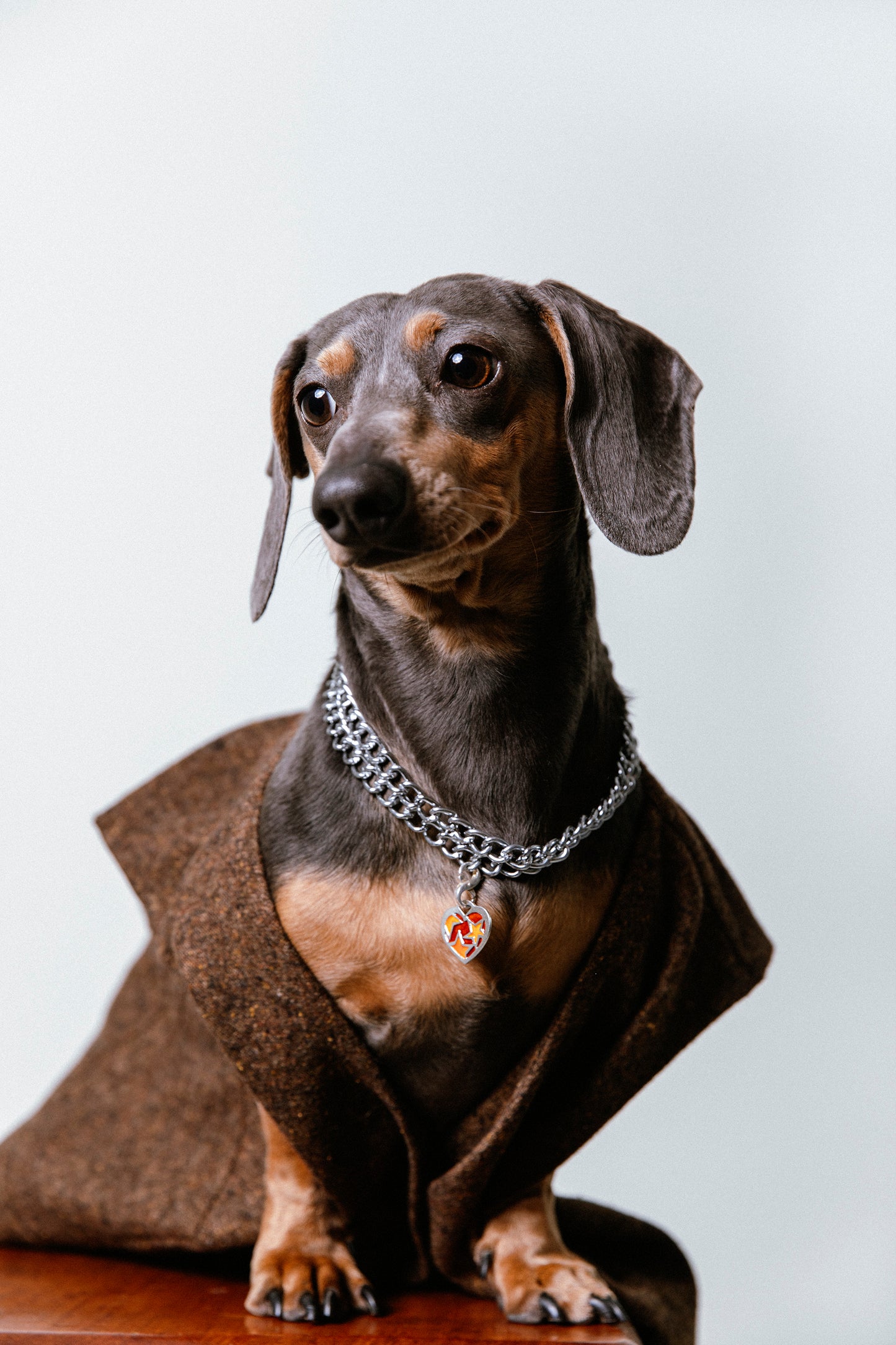 Colgante Duna de plata esmaltado para mascotas